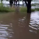 Screenshot_20251020_122904_Lite