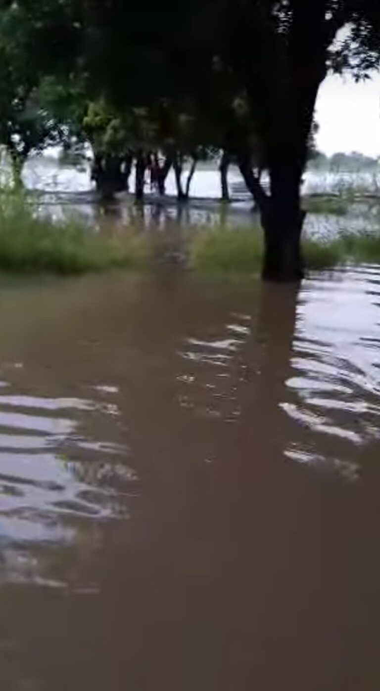 Screenshot_20251020_122904_Lite